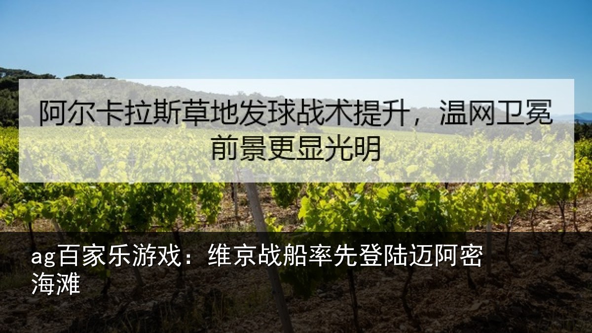 ag百家乐游戏:维京相关情况密海滩