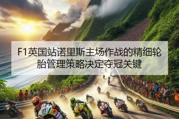 F1英国站诺里斯主场作战的精细轮胎管理策略决定夺冠关键